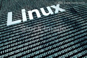 Linux 常用技术命令简单介绍用法|西瓜社