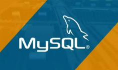 利用shell脚本监控MySQL进程-西瓜社