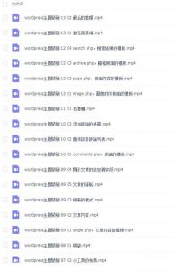WordPress主题开发小白视频教程|西瓜社
